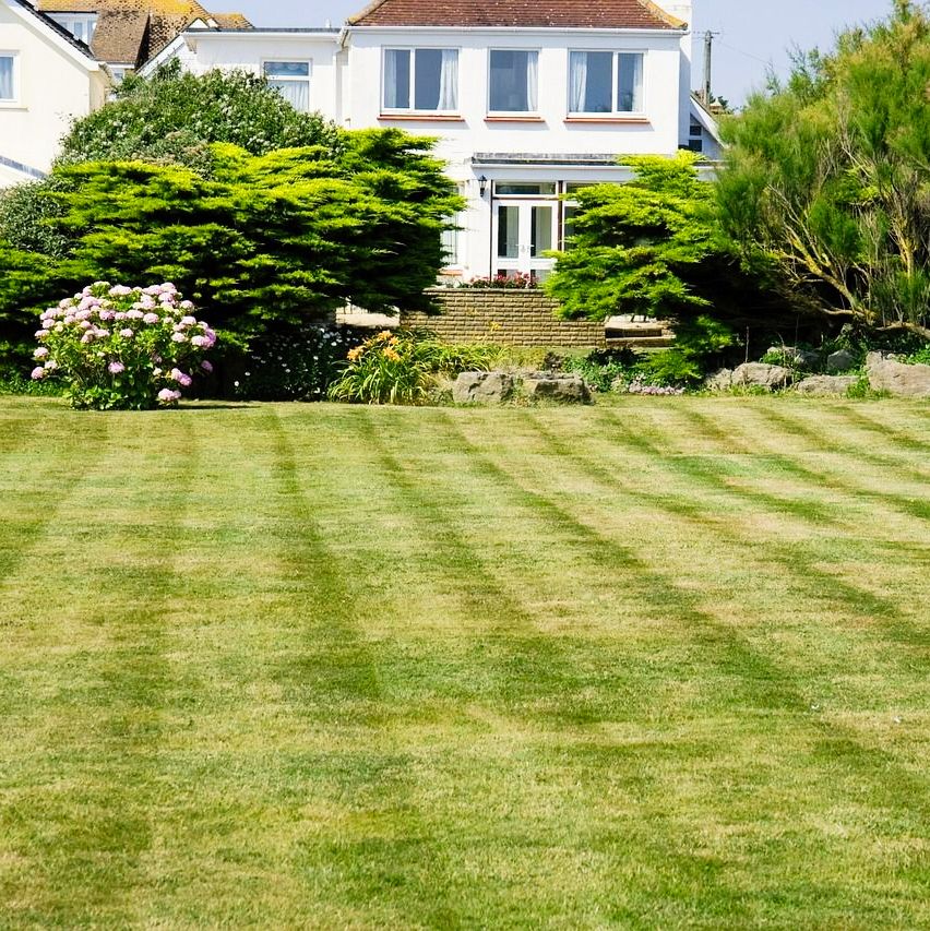 A house with a manicured lawn featuring rows of cut grass; a hedge and flowers are in the garden.