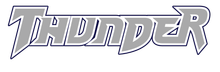Stylized gray-and-white &ldquo;Thunder&rdquo; logo with bold italic lettering and a dark outline