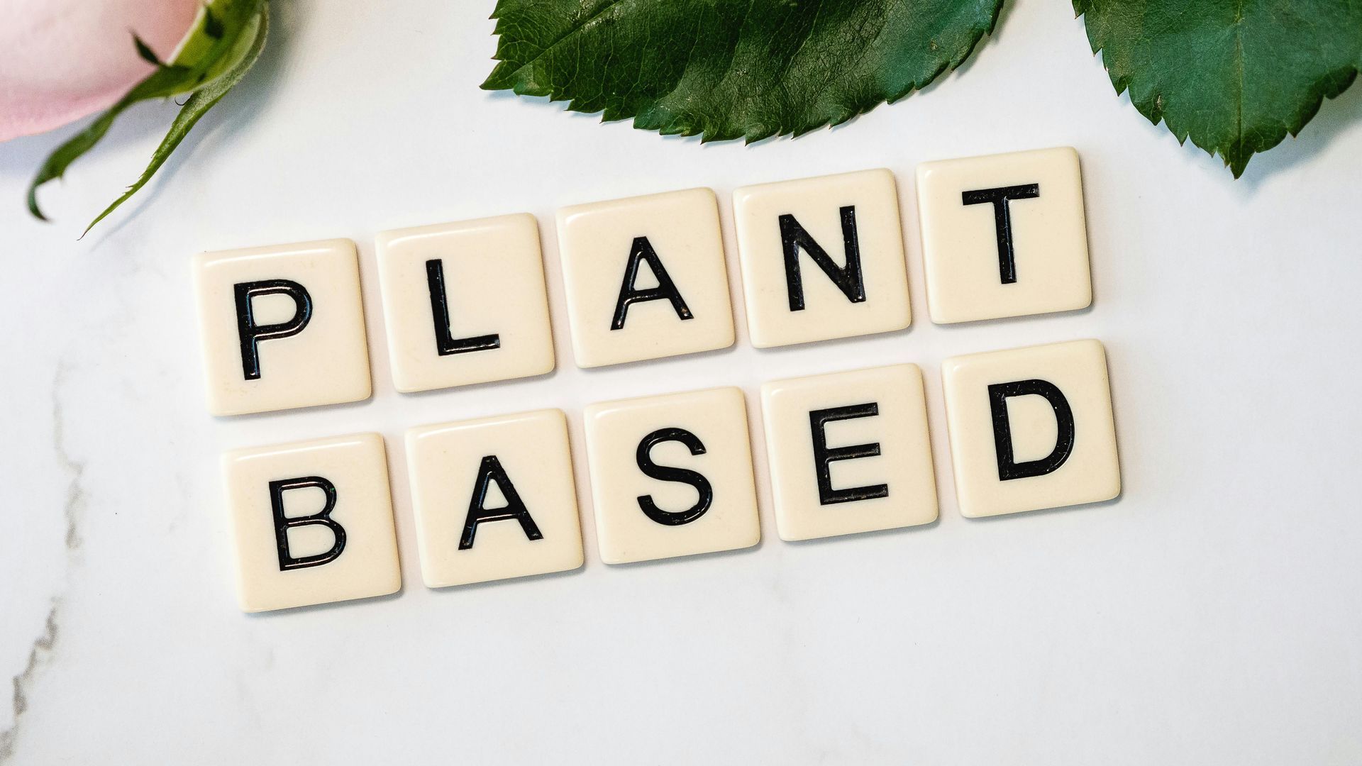 plant based diet - Busy Vegan Blog