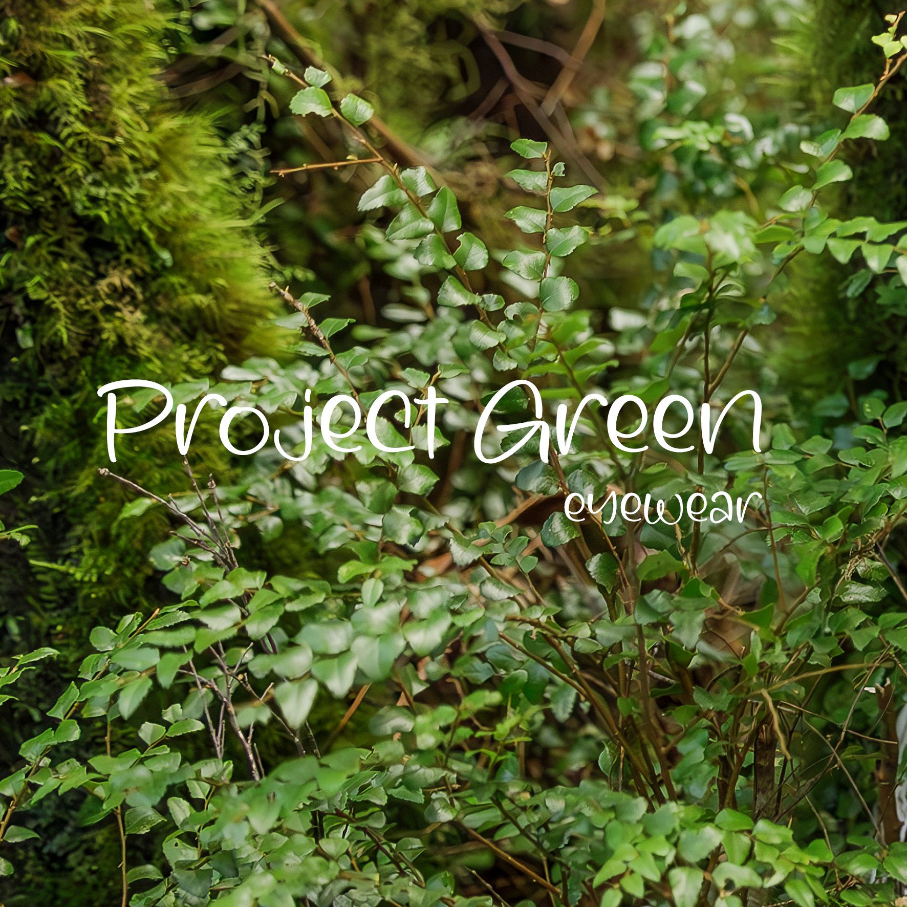 Project Green; Sustainable Eyewear with Purpose