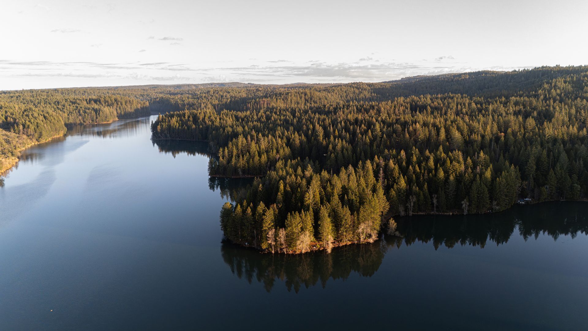 Aerial view of a calm lake beside a dense green forest at sunset