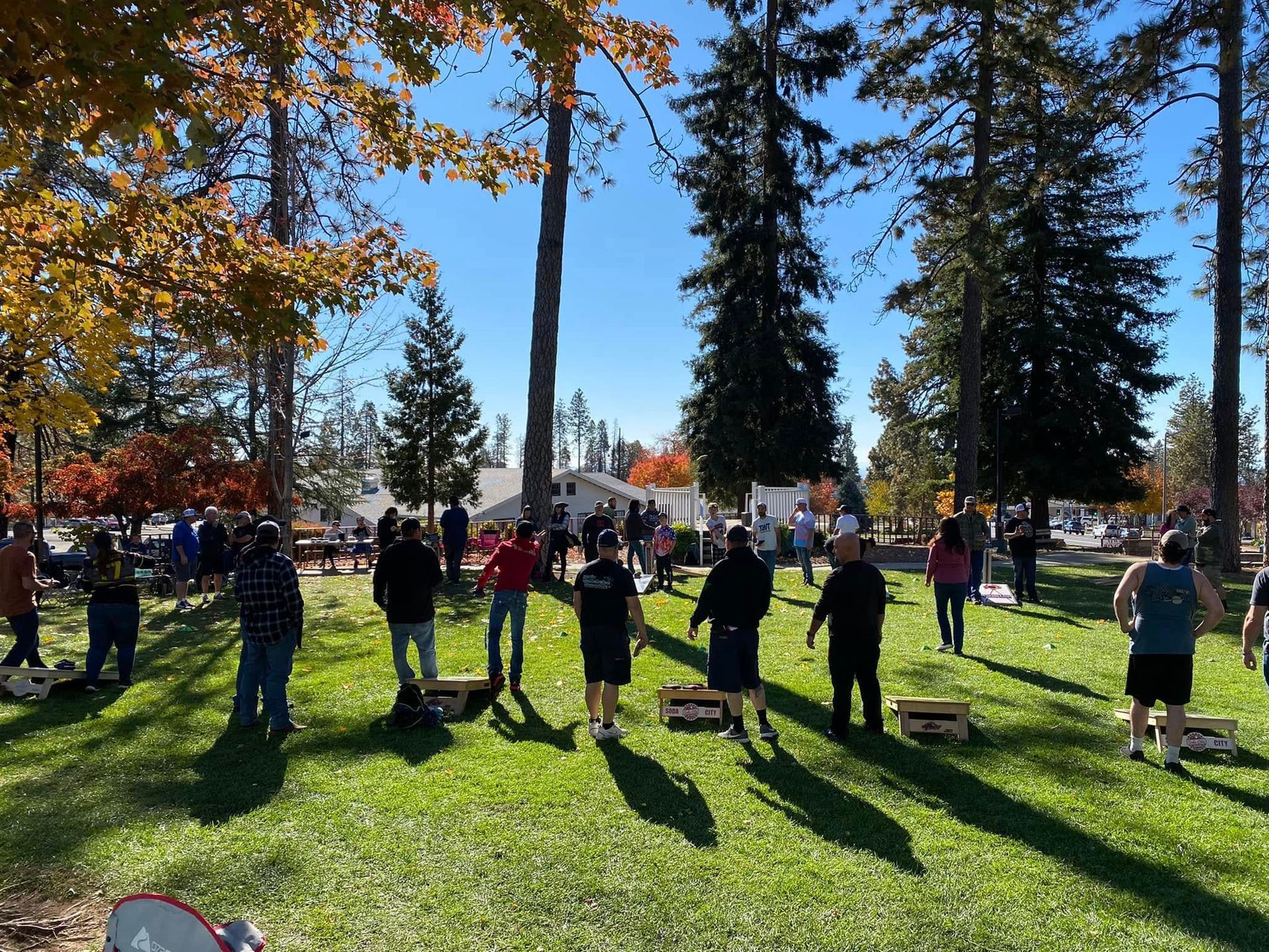 People standing on a sunny grassy field with long shadows and autumn trees in the background