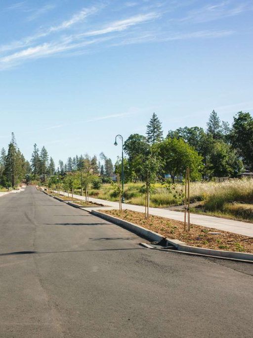 Empty paved road beside a sidewalk, trees, and dry grass under a clear blue sky