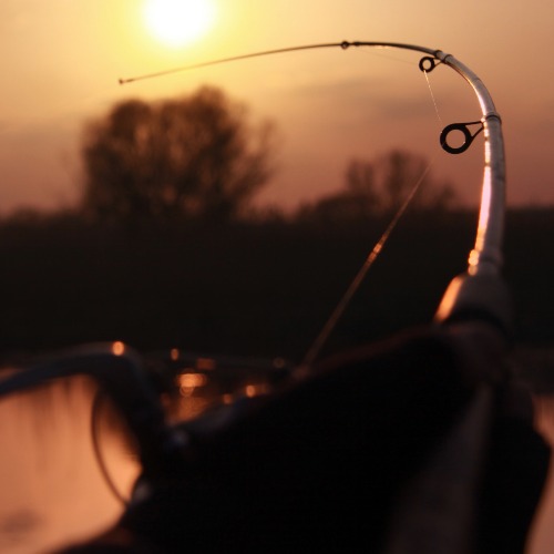 Fishing rod silhouetted against a warm sunset over calm water