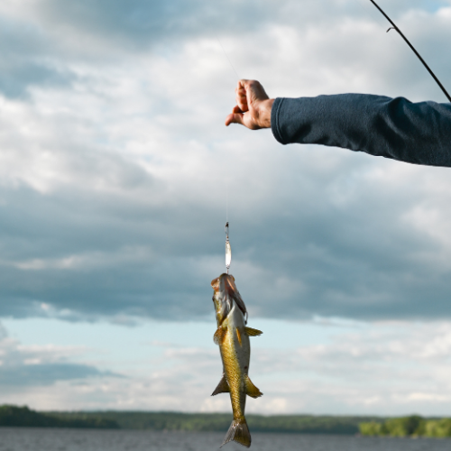 A hand holds a fishing line with a small fish dangling above a lake under cloudy skies