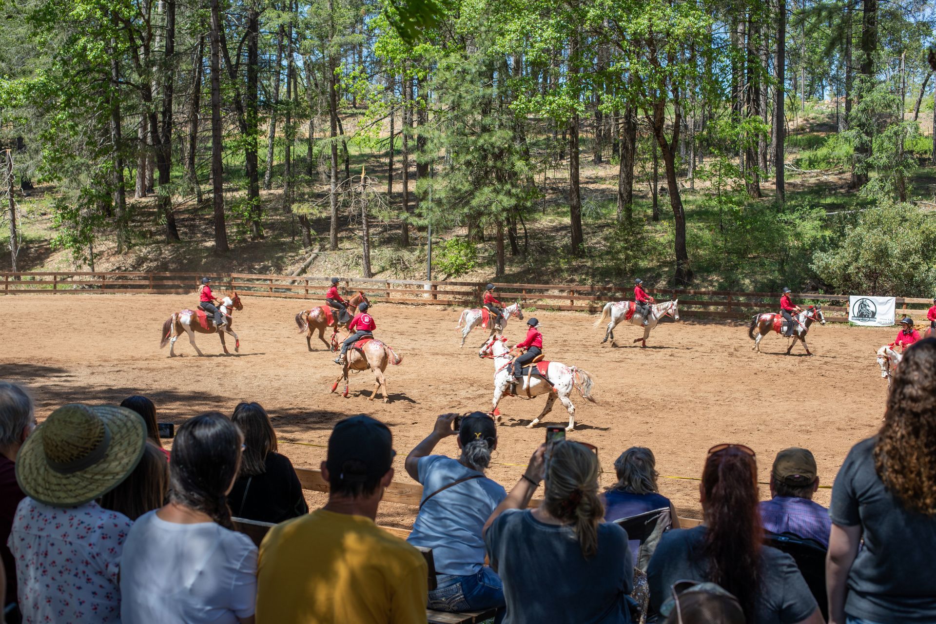 Paradise Horseman Association riding during the Horse Festival 