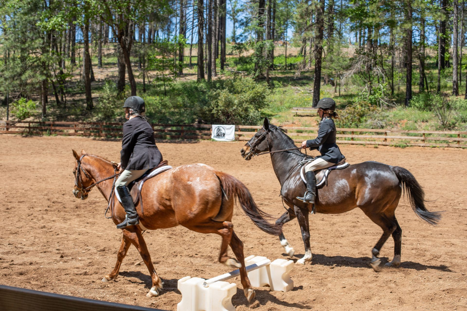 Two riders in black jackets on horses in an outdoor arena, approaching jumps, trees in the background.