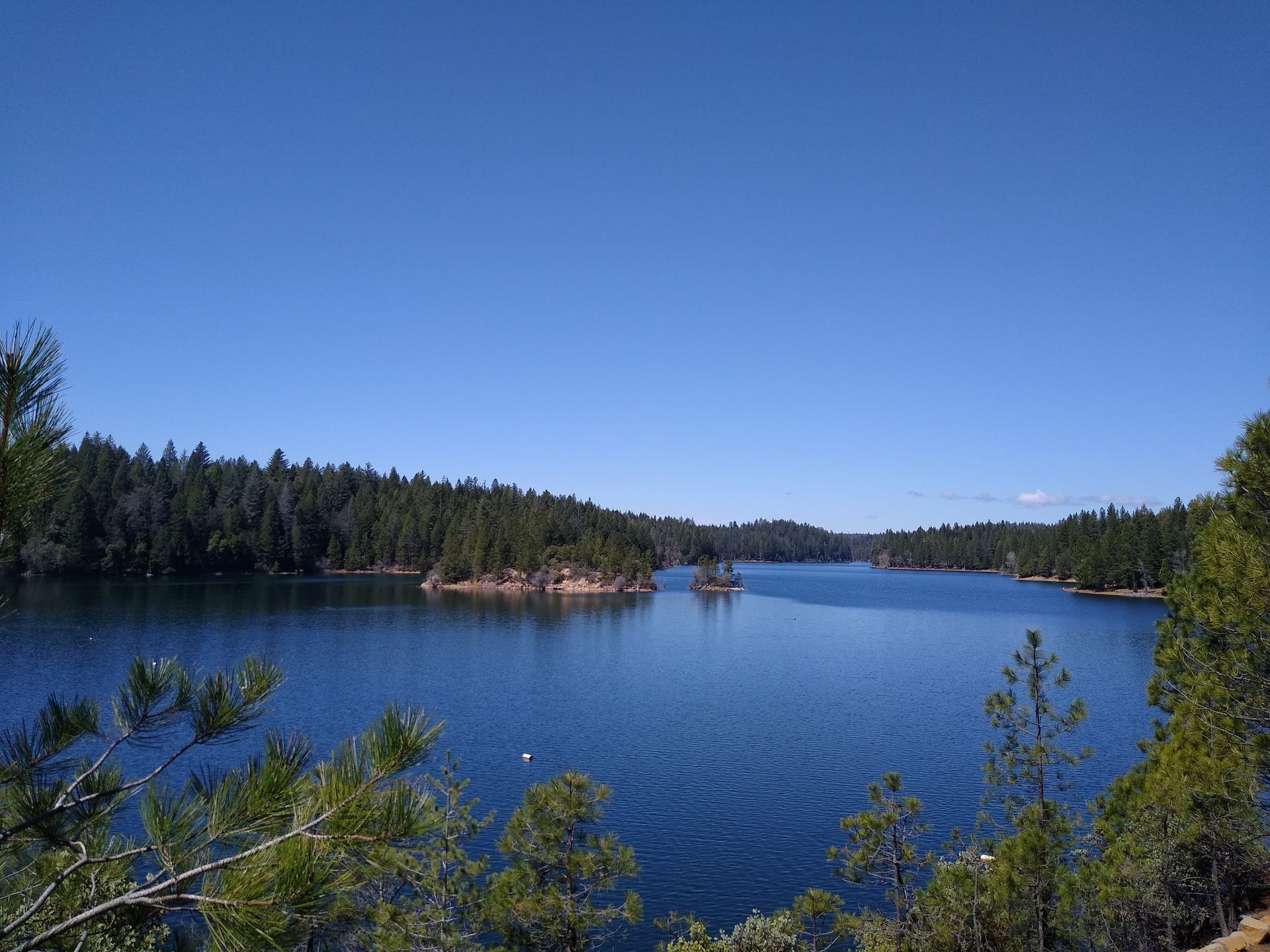 Paradise lake surrounded by trees on a sunny day