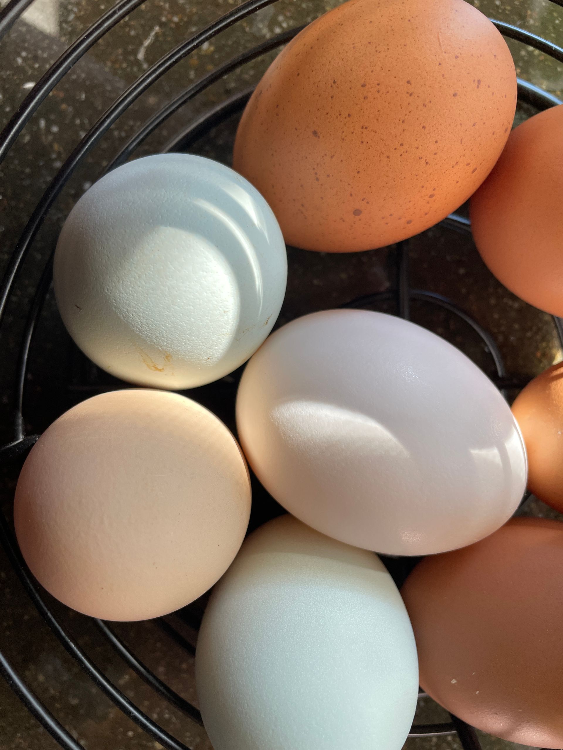 Assorted brown, white, and blue eggs in a wire basket