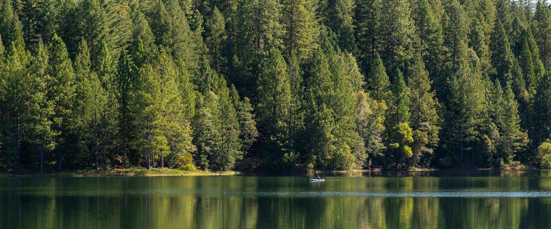 Calm lake reflecting a dense evergreen forest on the opposite shore