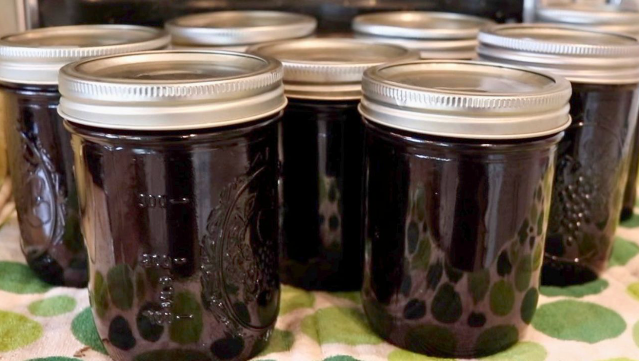 Jars of dark jelly or jam with metal lids lined up on a countertop