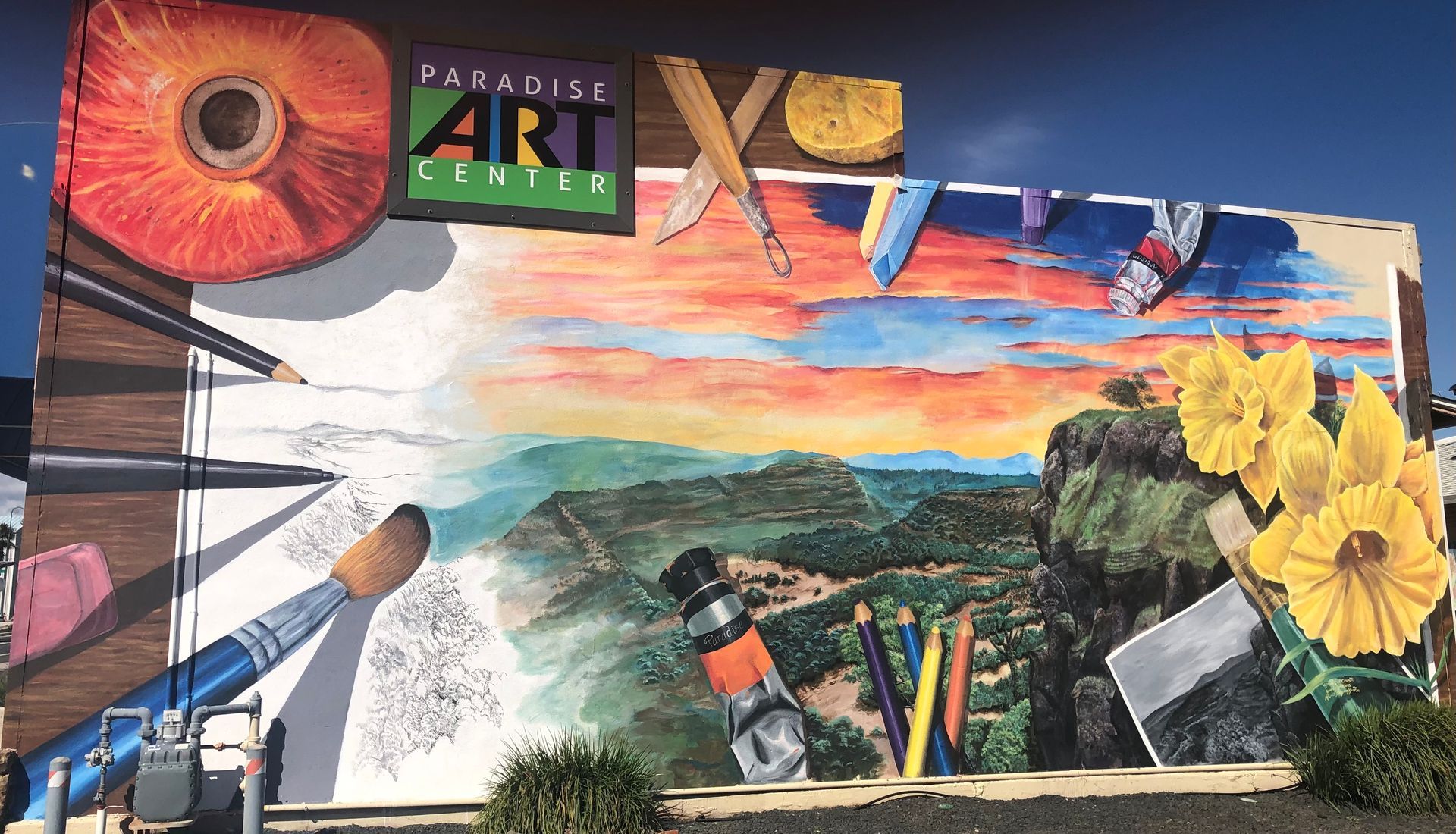 Paradise Art Center Mural by Steve Fershaud