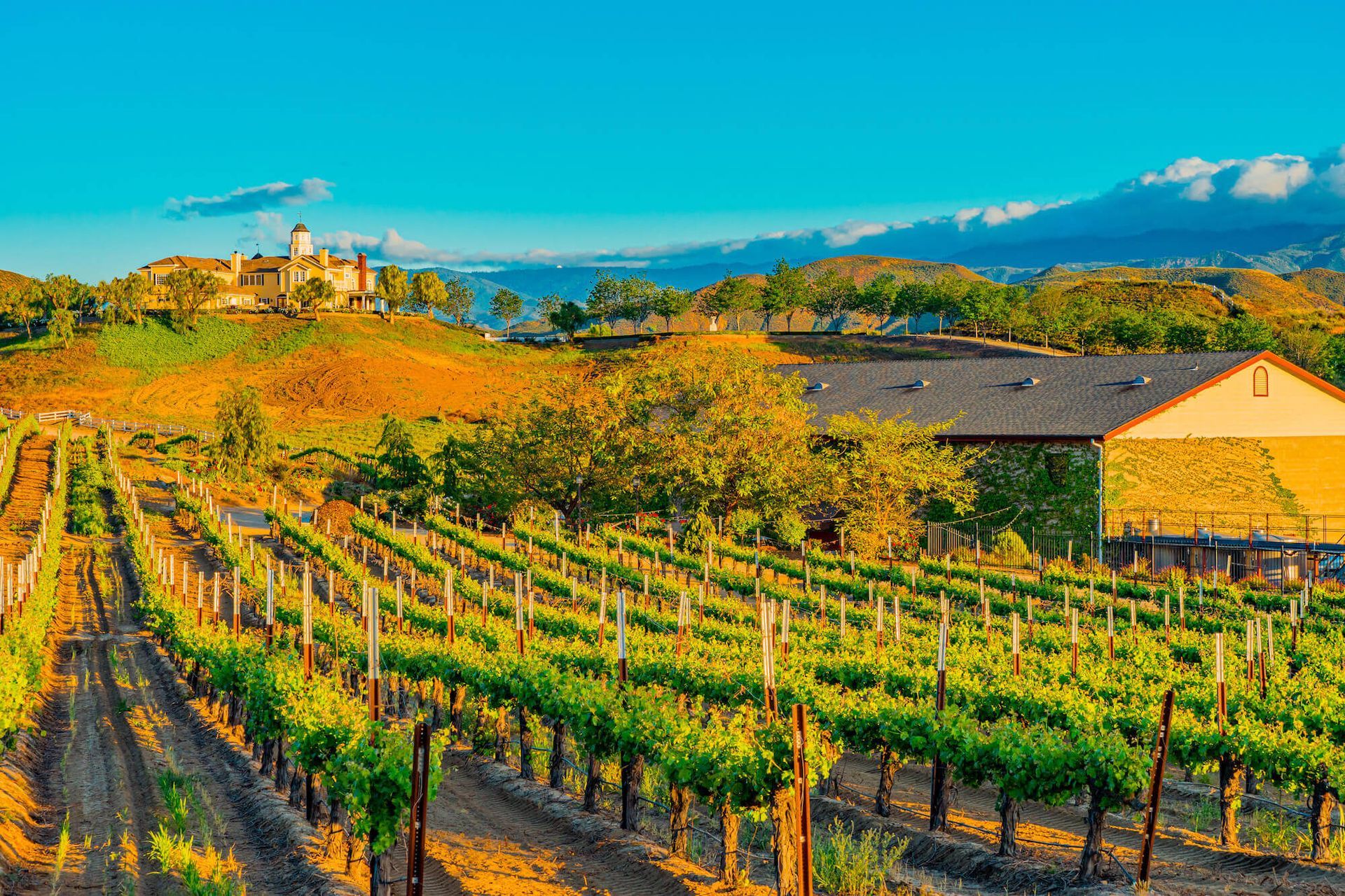 Temecula Airport Shuttle Van Transportation