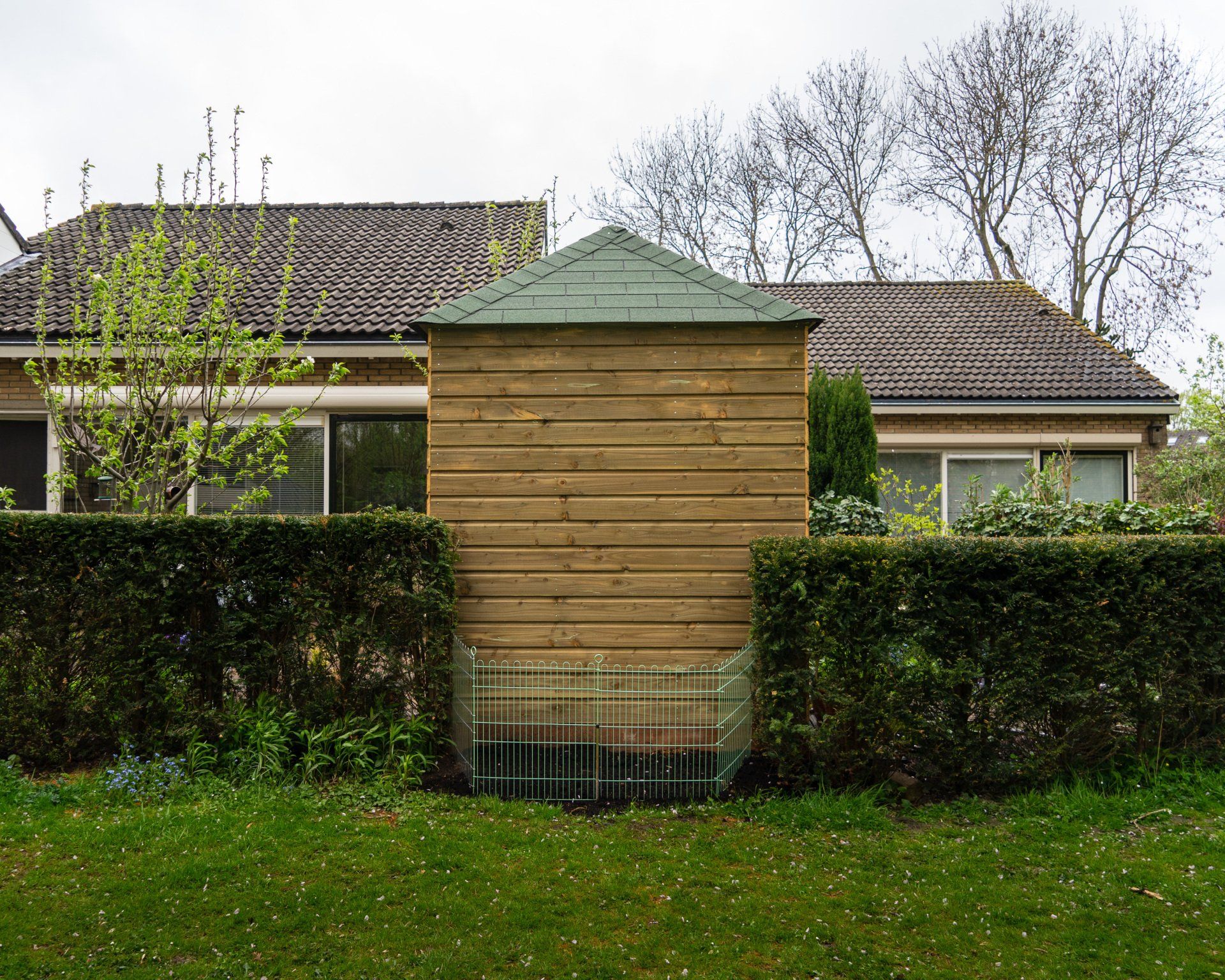 Houten schuur met groen dak, ingeklemd tussen hagen, voor een huis. Groen gras op de voorgrond.