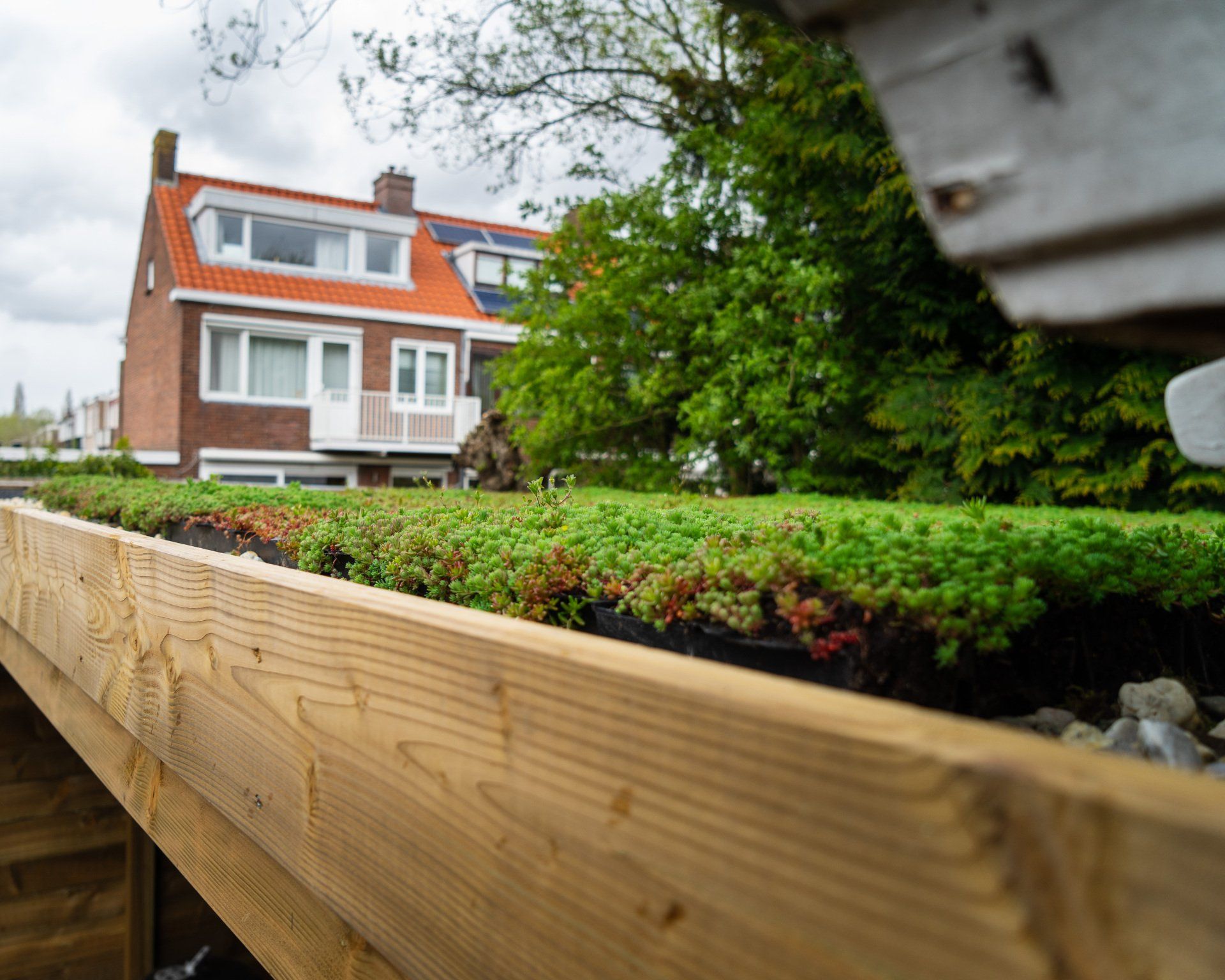 Groen dak met een huis en bomen op de achtergrond, houten constructie op de voorgrond.