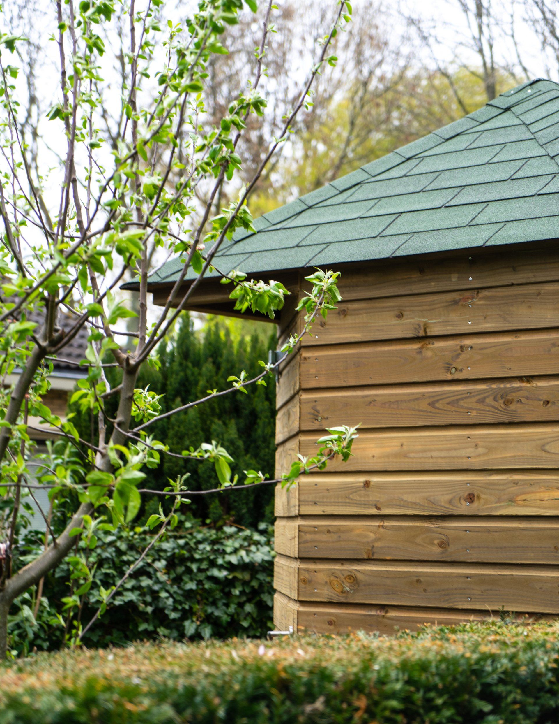Houten schuur met groen dak naast een ontluikende boom in een tuin.
