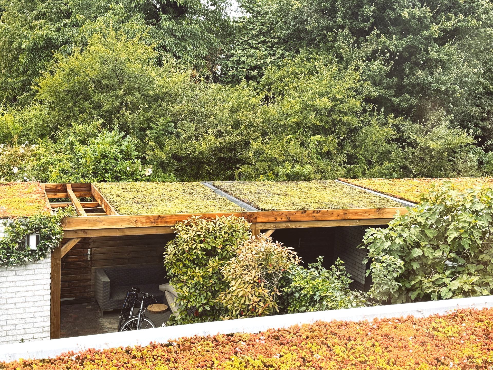 Groen dak boven een houten carport met omringende begroeiing en struiken.