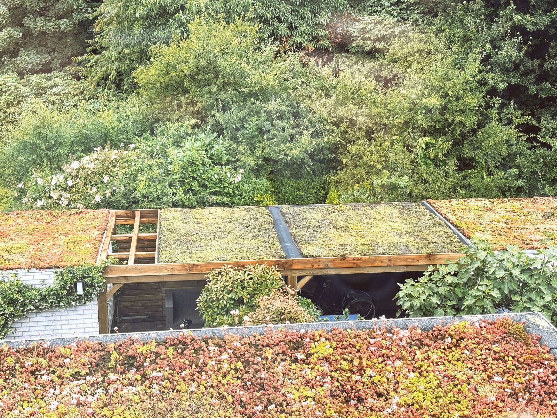 Bovenaanzicht van een gebouw met een groen dak, omgeven door weelderig groen.