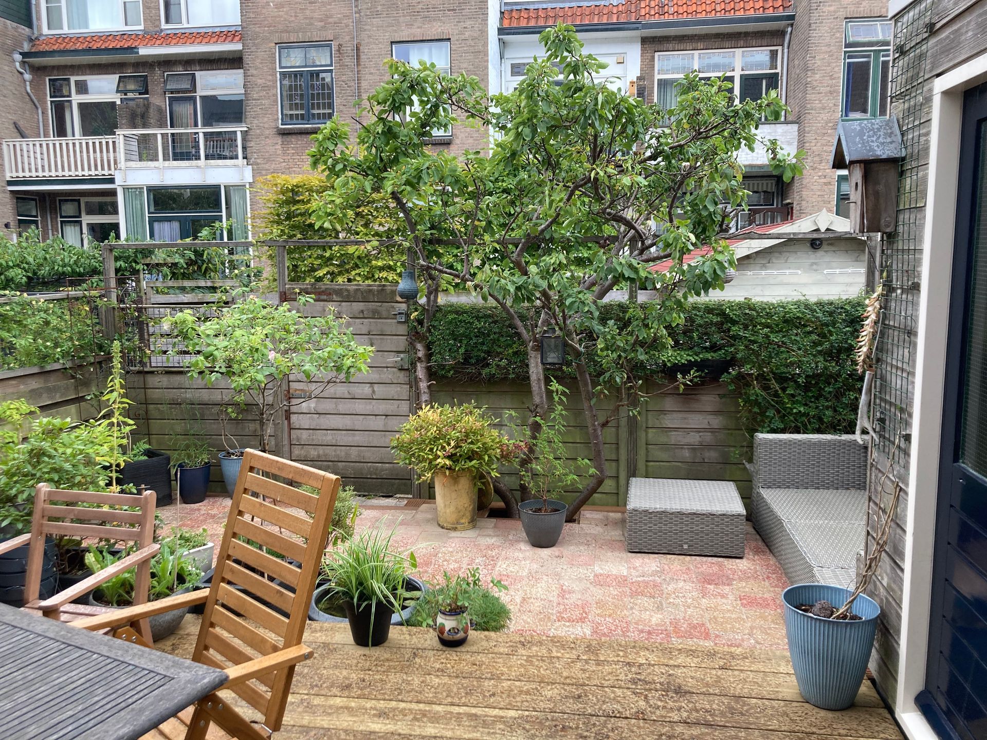 Achtertuin met bomen, tuinmeubilair, potplanten en rode bakstenen. Aangrenzende gebouwen zijn zichtbaar.