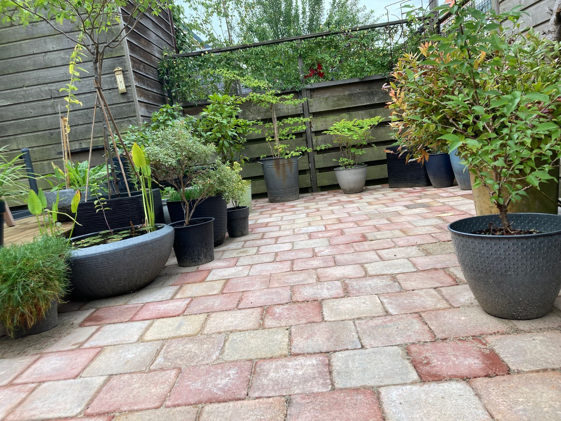 Een stenen terras met potplanten tegen een houten schutting.