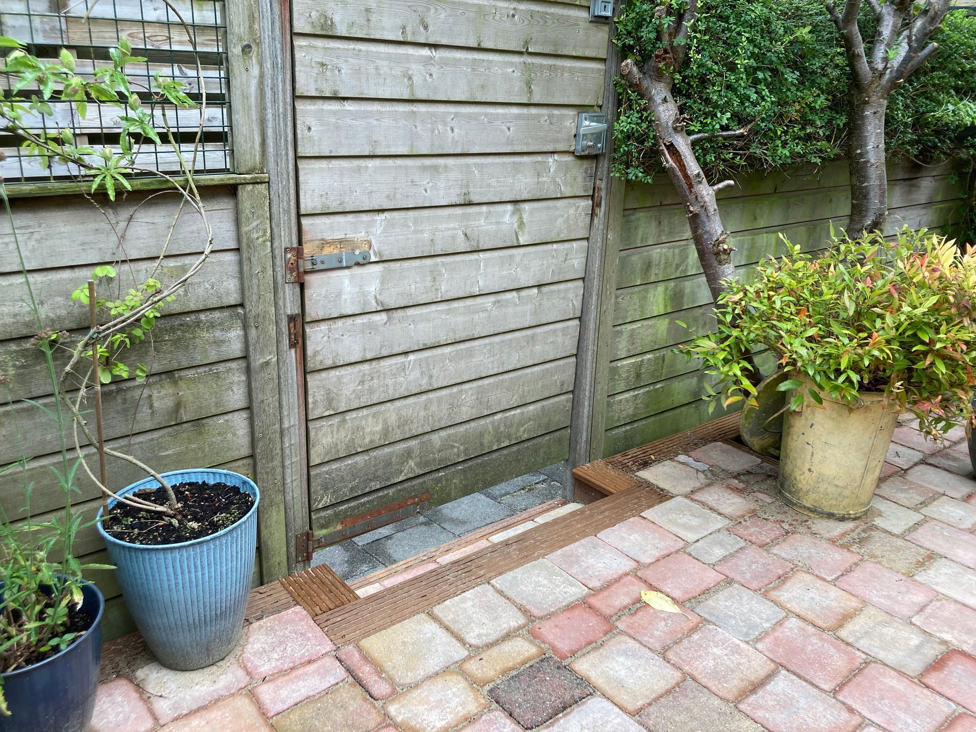 Houten poort in een achtertuin, met potplanten en een stenen terras.