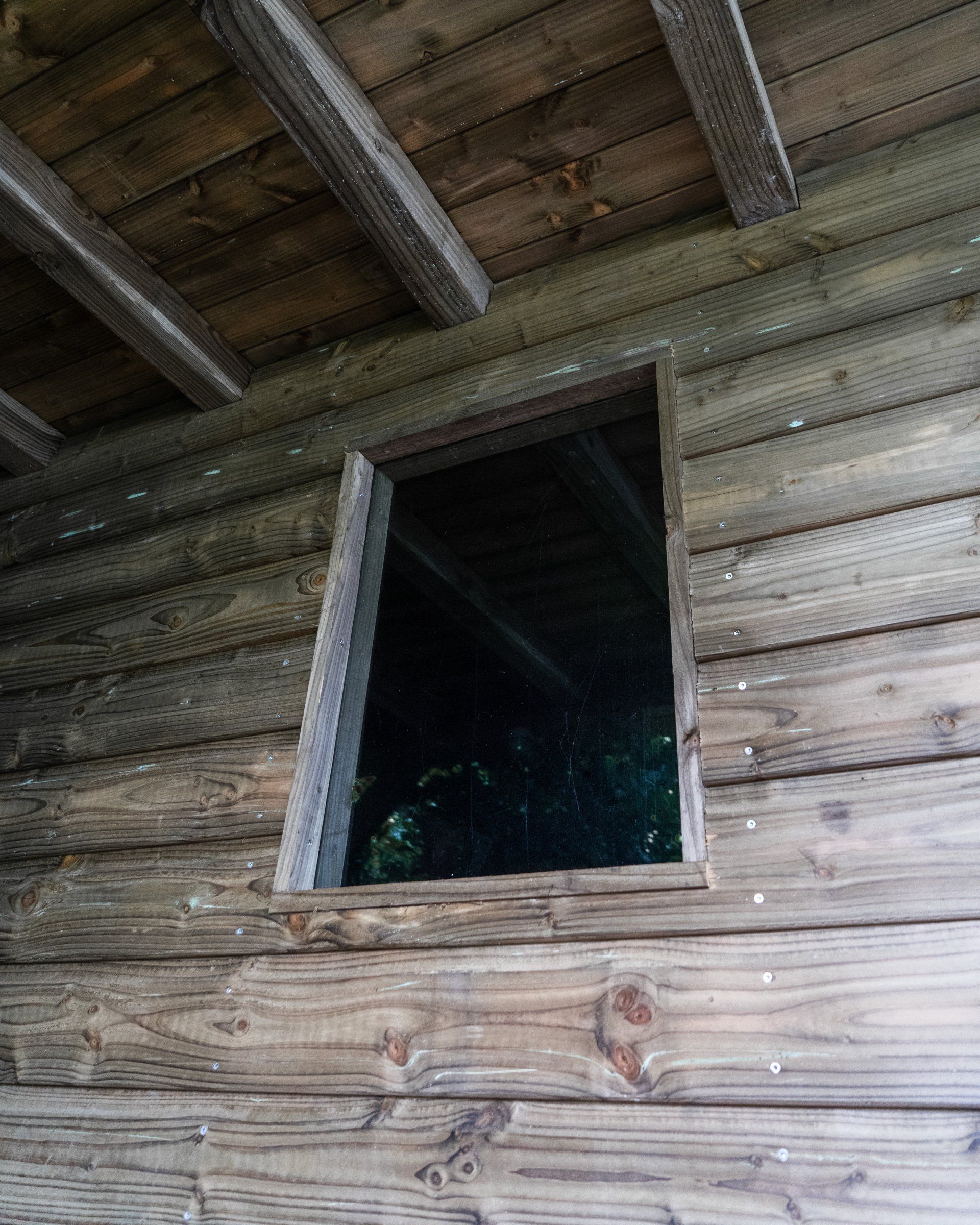 Een raam in een verweerde houten constructie, dat uitkijkt op een donker, met bomen gevuld tafereel.