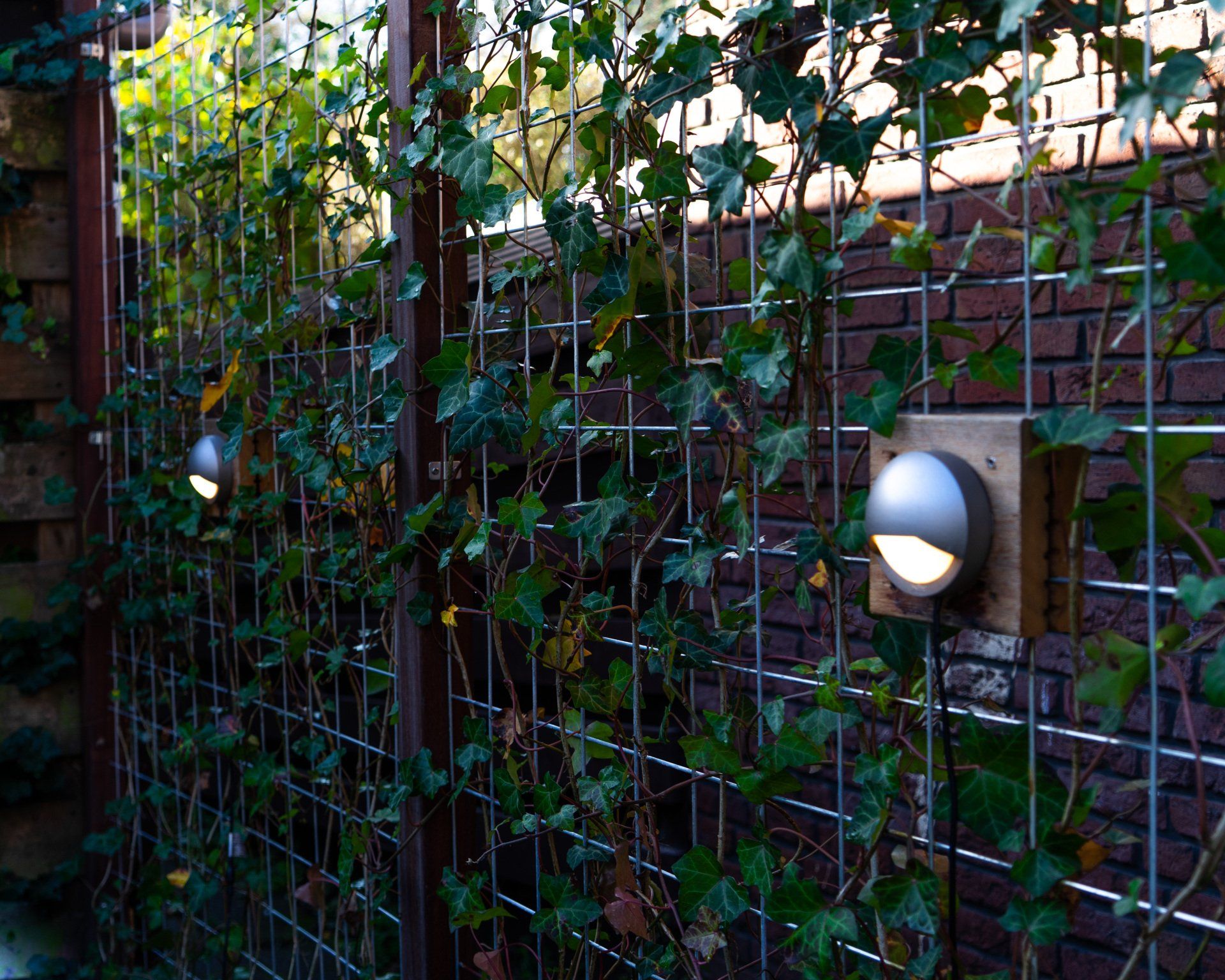 Buitenmuur met klimop, draadgaas en twee halfronde lampen, waarvan één op een houten blok.