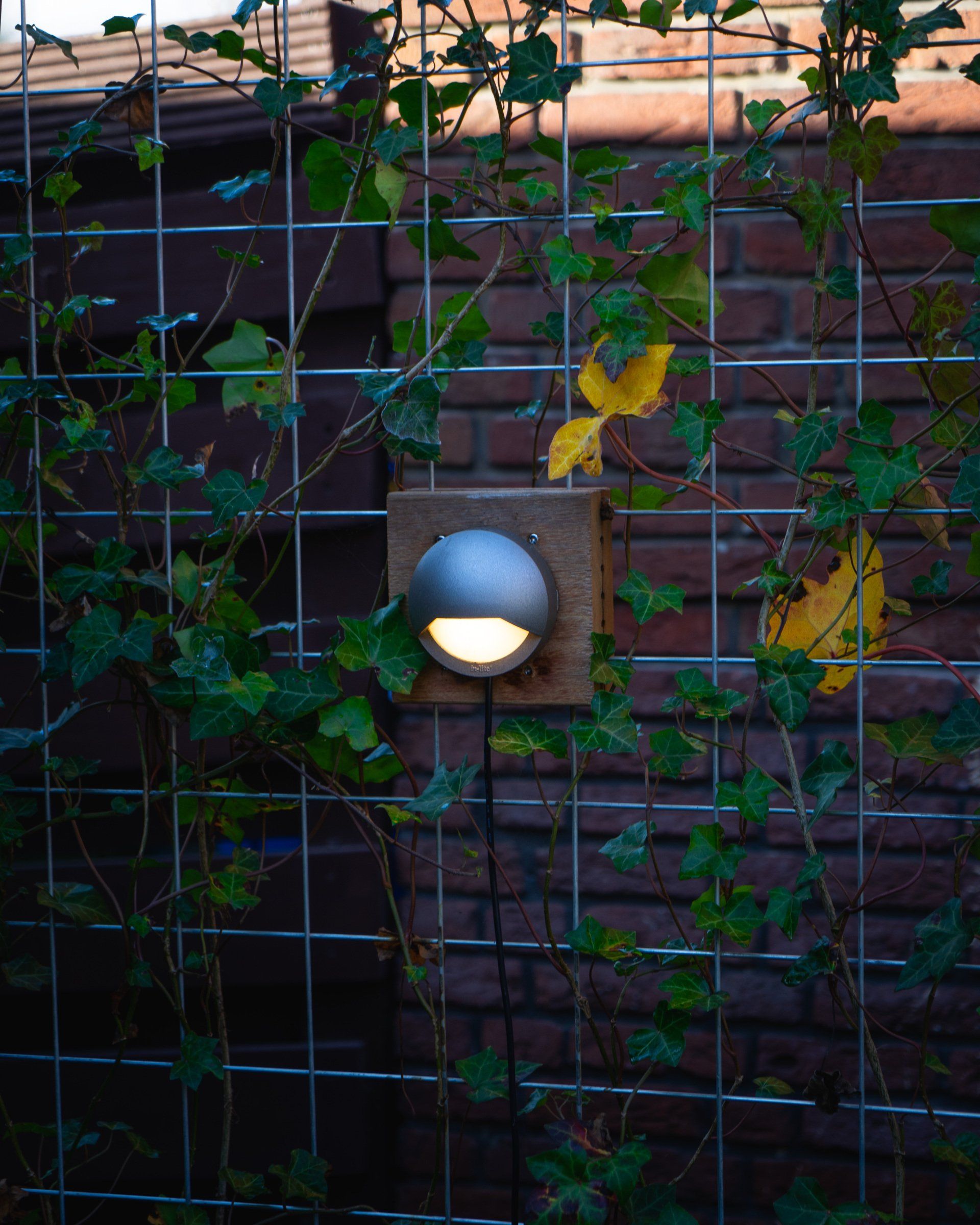 Buitenwandlamp op bakstenen, met metalen traliewerk en klimop.