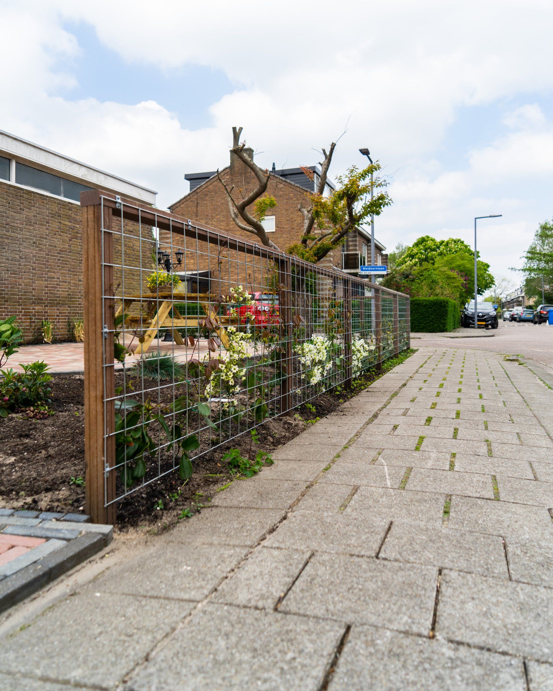 Een houten en draadhek met klimplanten langs een stoep naast een woonstraat.