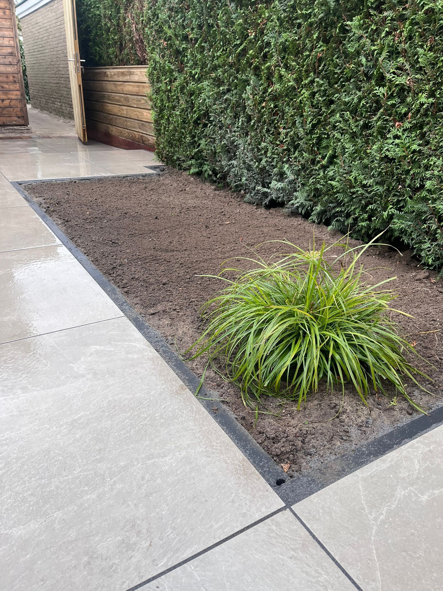 Een klein tuinperk met een groene struik, omgeven door donkere aarde en een betonnen pad, naast een groene heg.