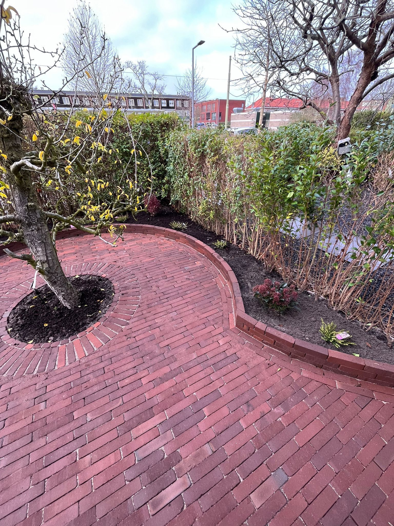 Een bakstenen pad kronkelt door een tuin, met hagen, bomen en gebouwen zichtbaar op de achtergrond.