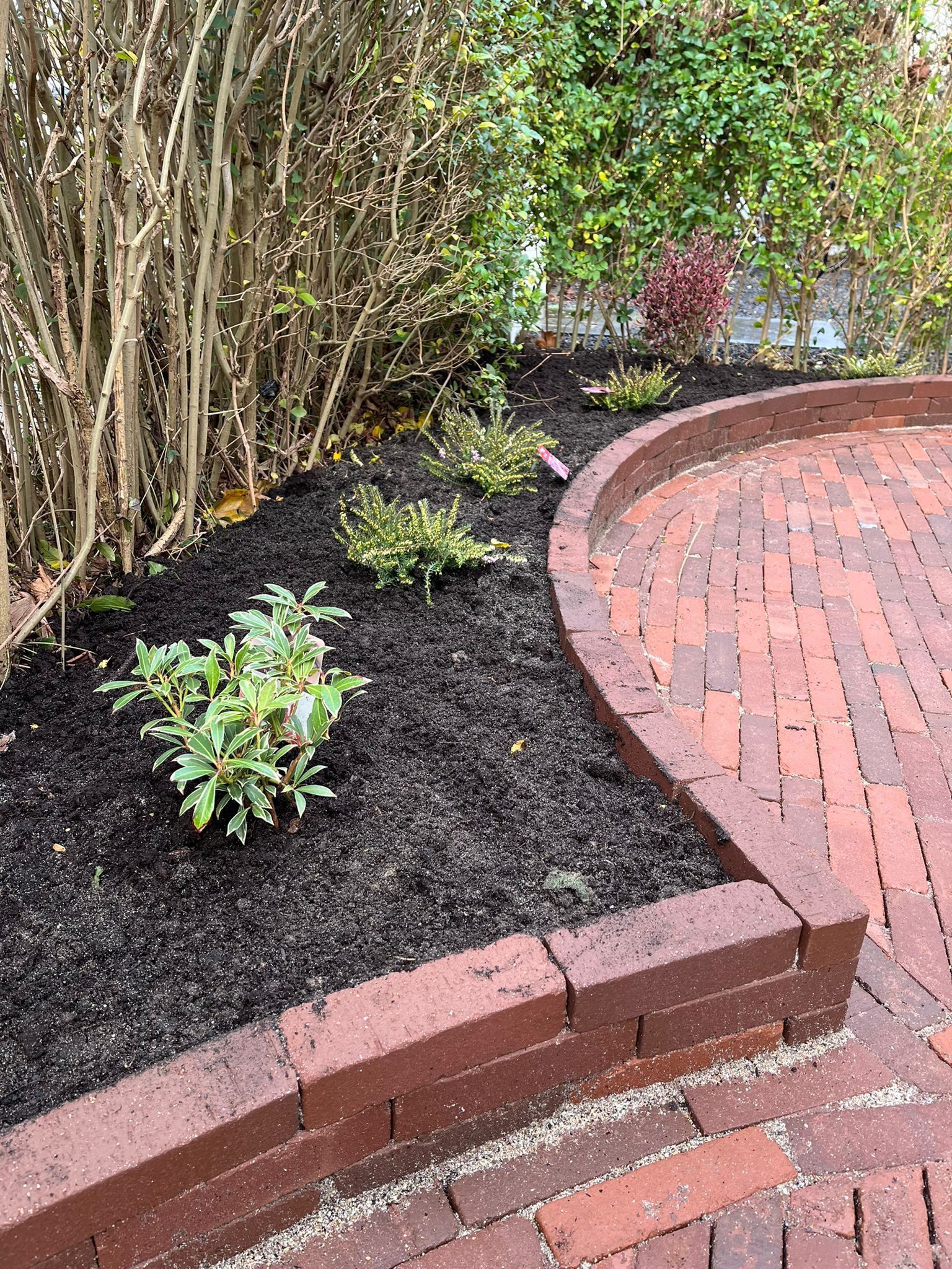 Een bakstenen rand omringt een bloembed met mulch en groene planten. Daarnaast bevindt zich een bakstenen terras en op de achtergrond hoge, kale struiken.