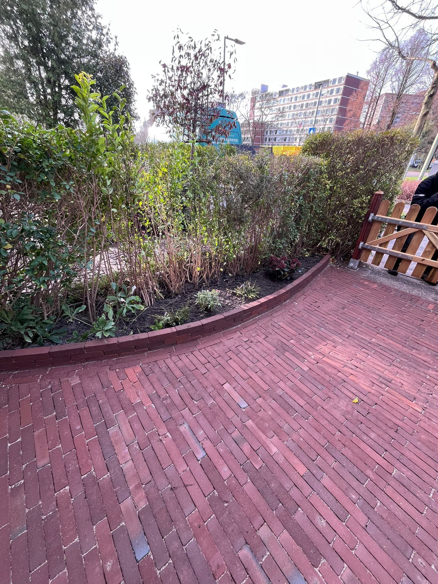 Een bakstenen pad kronkelt langs een strak gesnoeide groene heg, met bomen en een gebouw op de achtergrond.