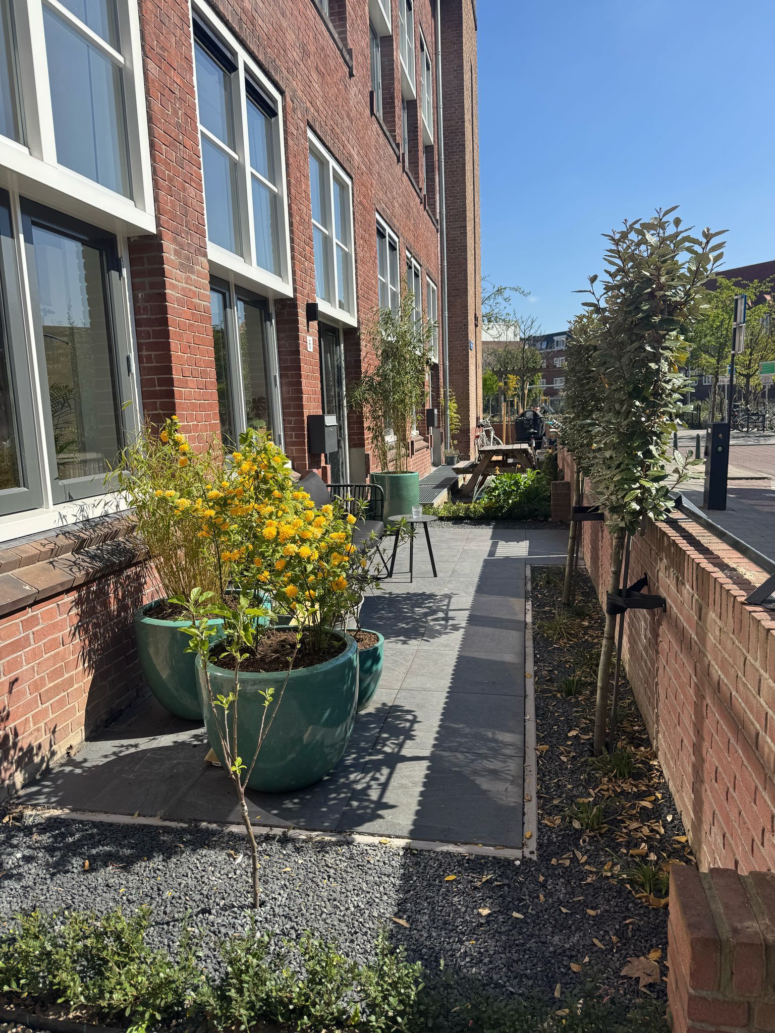 Een terras met potplanten naast een bakstenen gebouw op een zonnige dag.