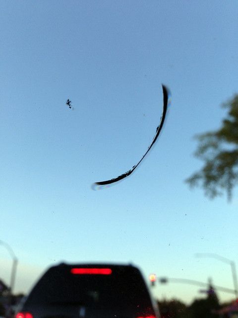 windshield-repair-tarpon-springs