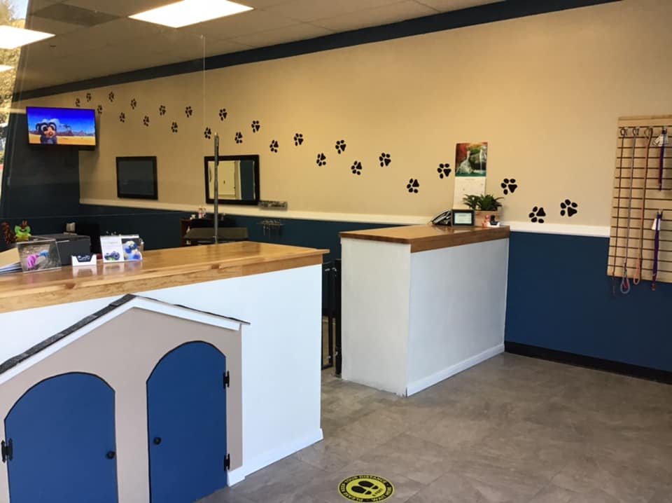 Pet Spa Yucaipa, CA Styles Pet Grooming