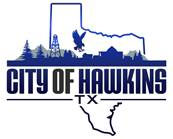 A logo for the city of hawkins , texas.