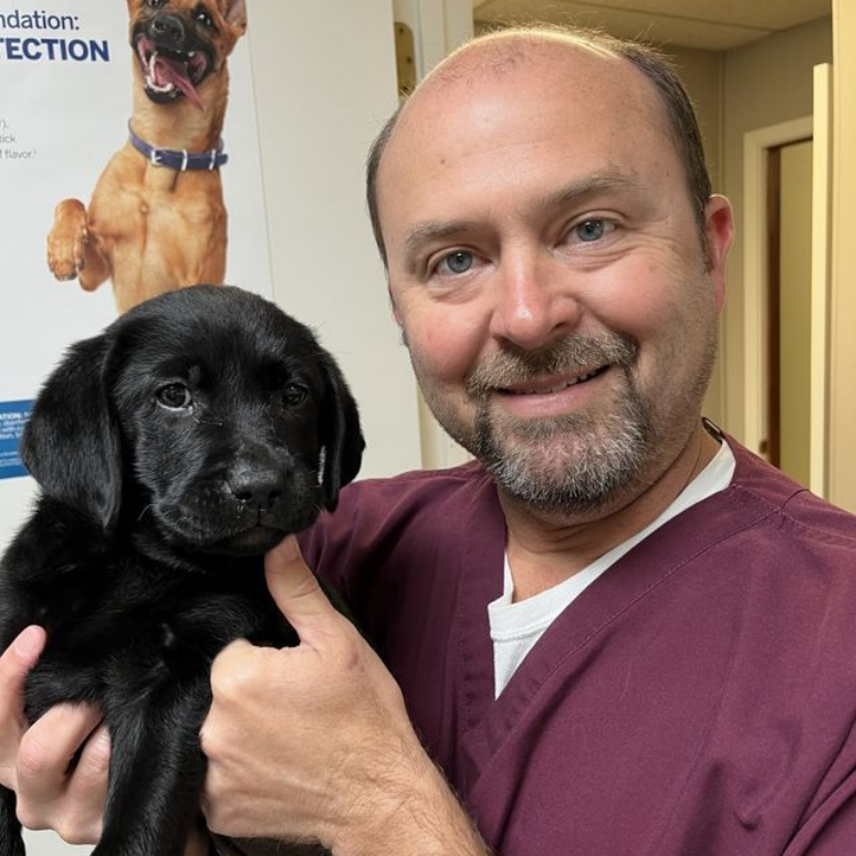Jonathan E. Mitchell, DVM Jonathan E. Mitchell, DVM