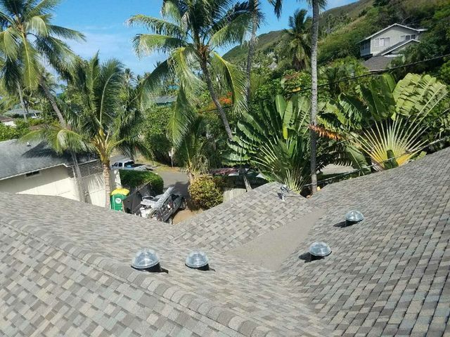 A roof with a lot of shingles and palm trees in the background