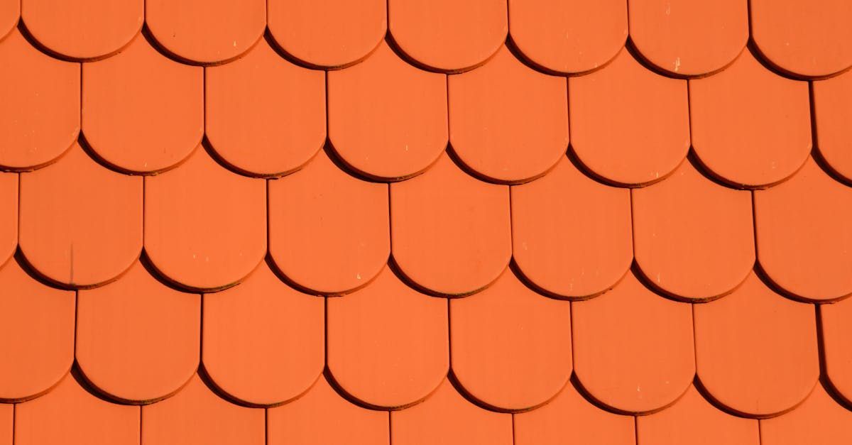 A close up of a roof with orange tiles on it.