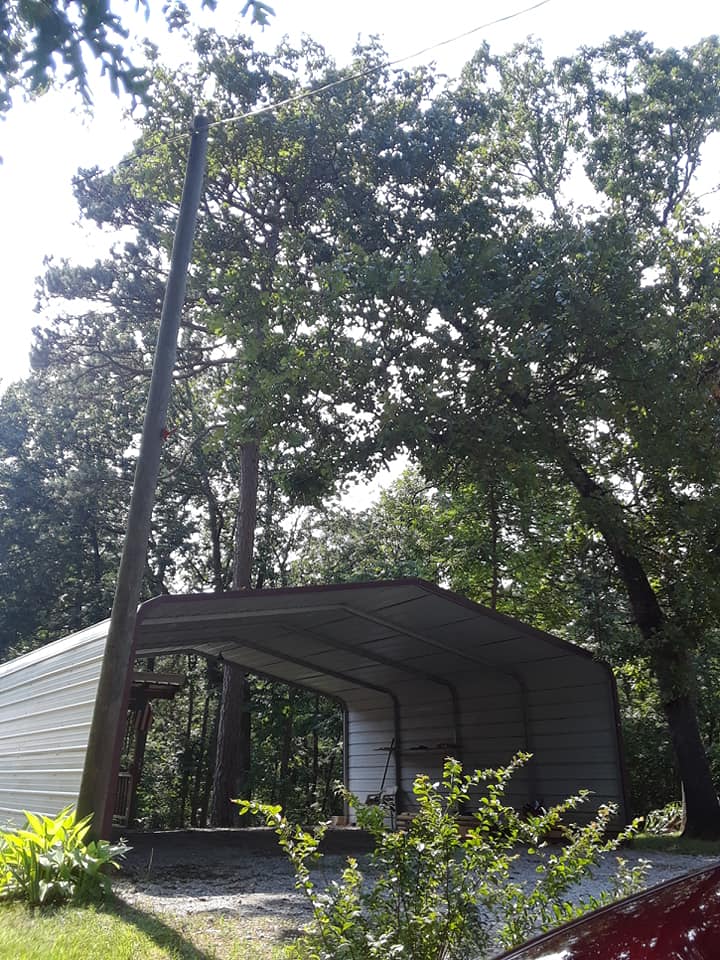 Stump and Tree Removal in Jasper, TN | Fox's Precision Tree Service Stump and Tree Removal in Jasper, TN | Fox's Precision Tree Service
