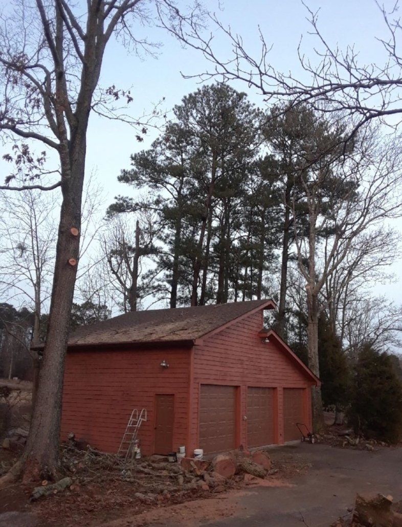 Lightning Protection in Jasper, TN | Fox's Precision Tree Service Lightning Protection in Jasper, TN | Fox's Precision Tree Service