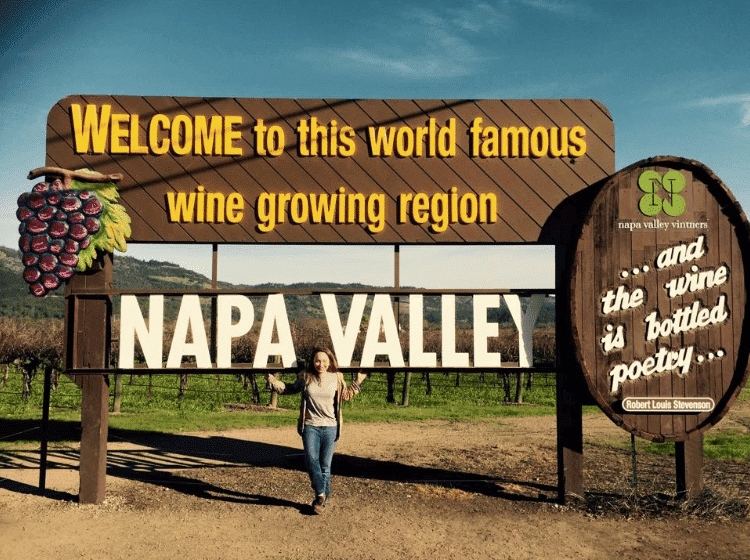 Napa Valley welcome sign with grapes and a person standing beneath it in a vineyard setting