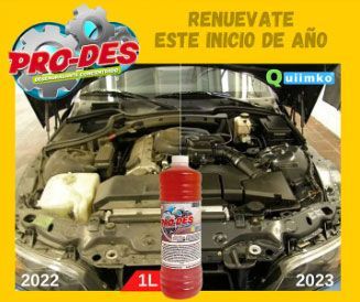 LIMPIADOR DE MOTOR