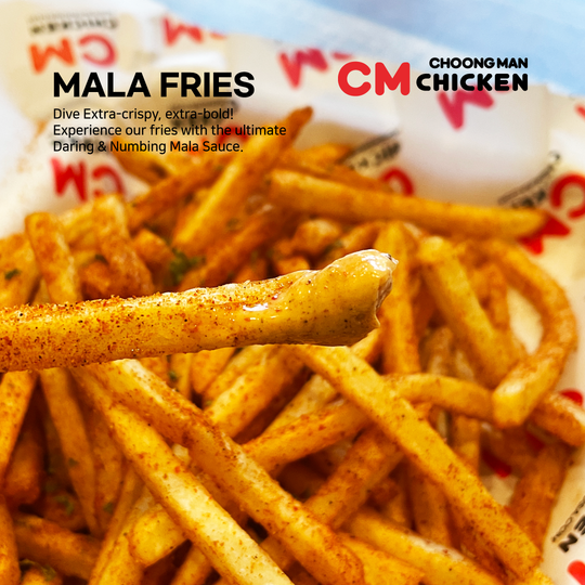 Tray of spicy seasoned fries with a red sauce container and CM Chicken branding on the packaging
