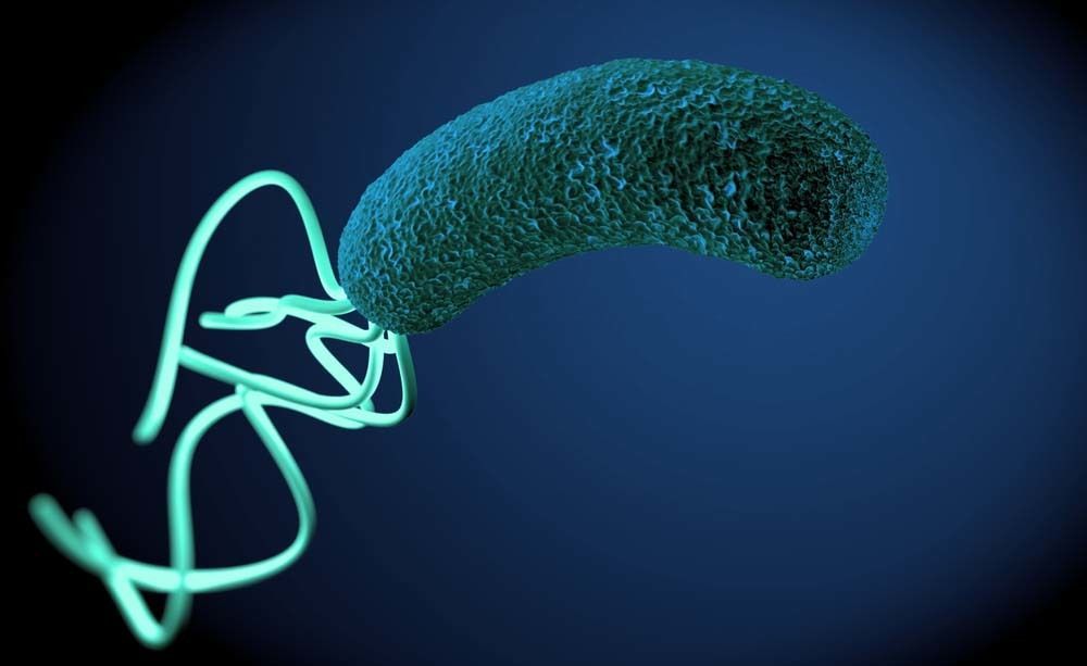Che Cos'è l'Helicobacter pylori?
