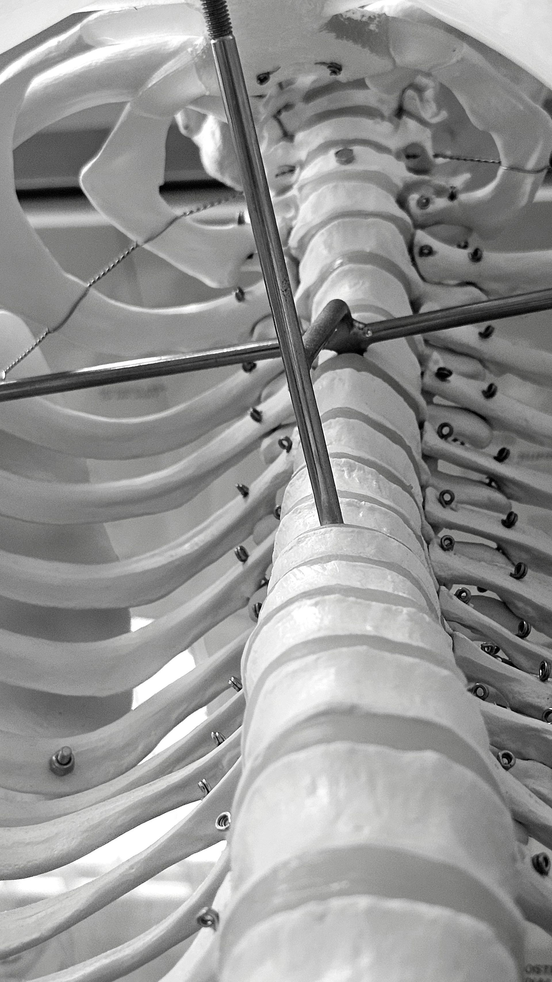 Osteopata roma