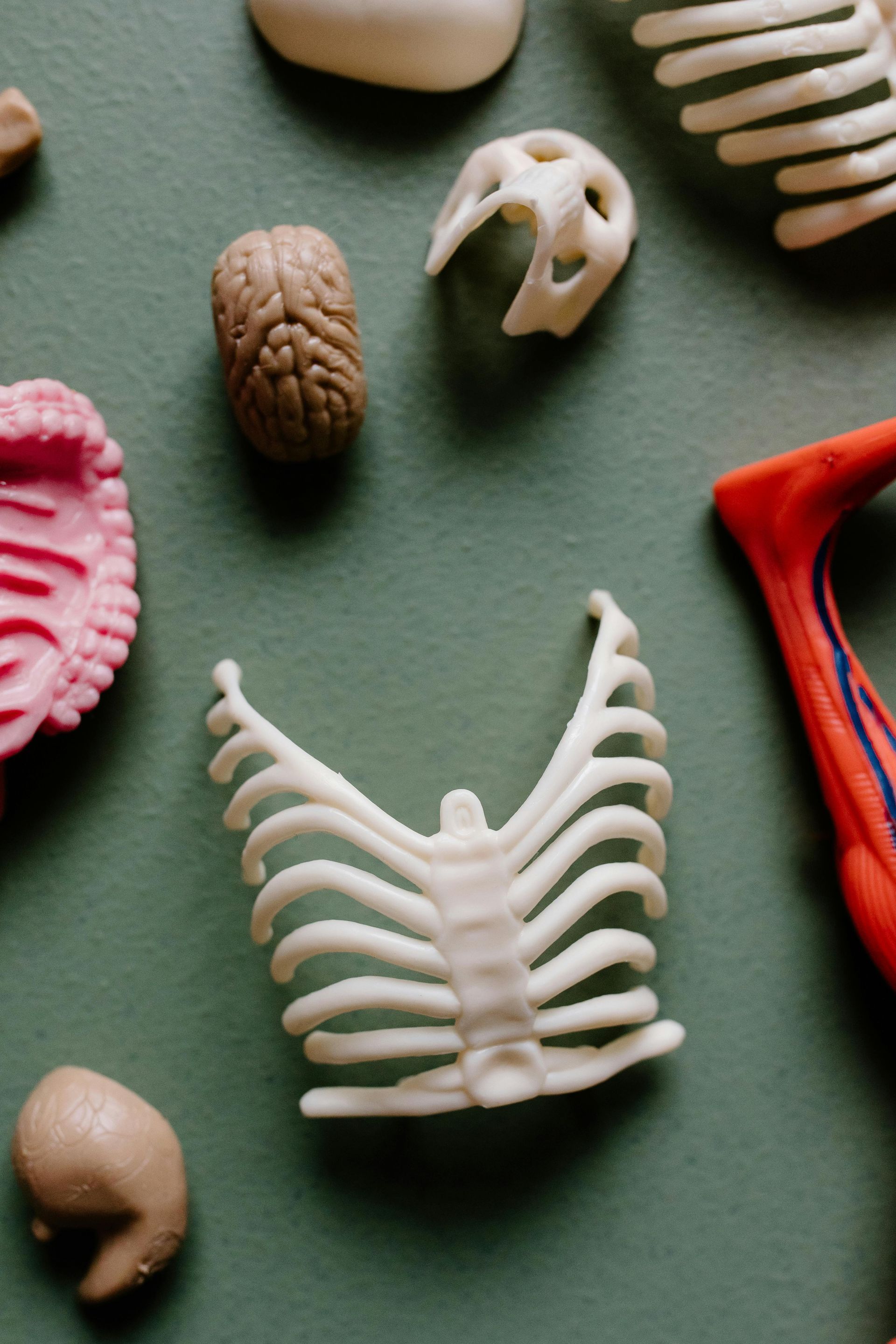 Centro Osteopatia Roma