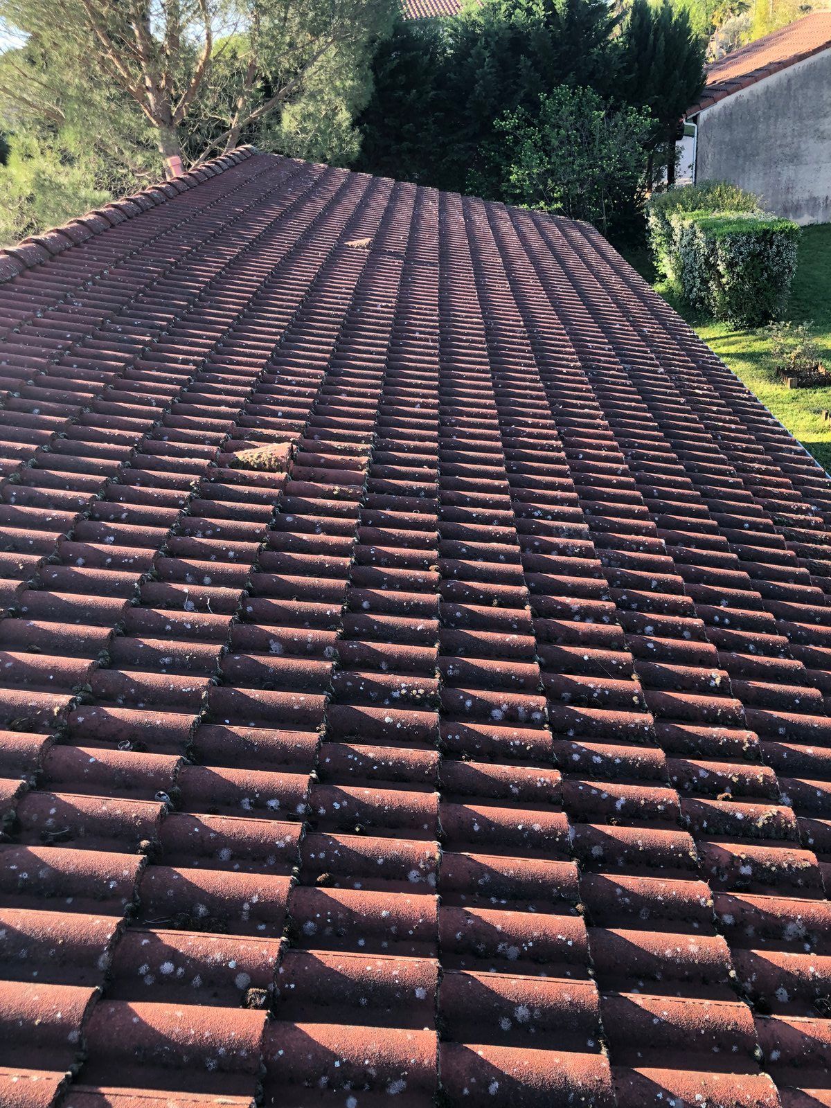 Toit incurvé en tuiles de terre cuite avec cheminée, vu d'en haut, avec des arbres et le bord d'une maison en arrière-plan.