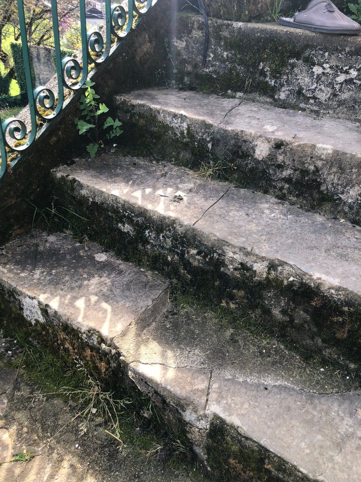 Marches en pierre couvertes de mousse, jouxtant une balustrade en métal ornée, baignées de soleil.